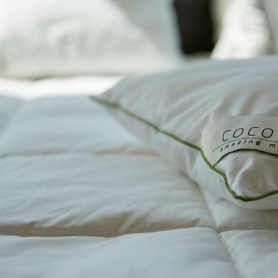 Cocoon Company Amazing Maize